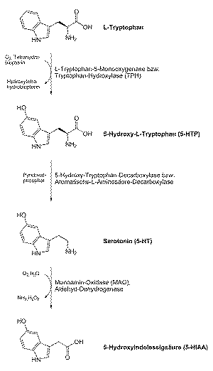 Biosynthese