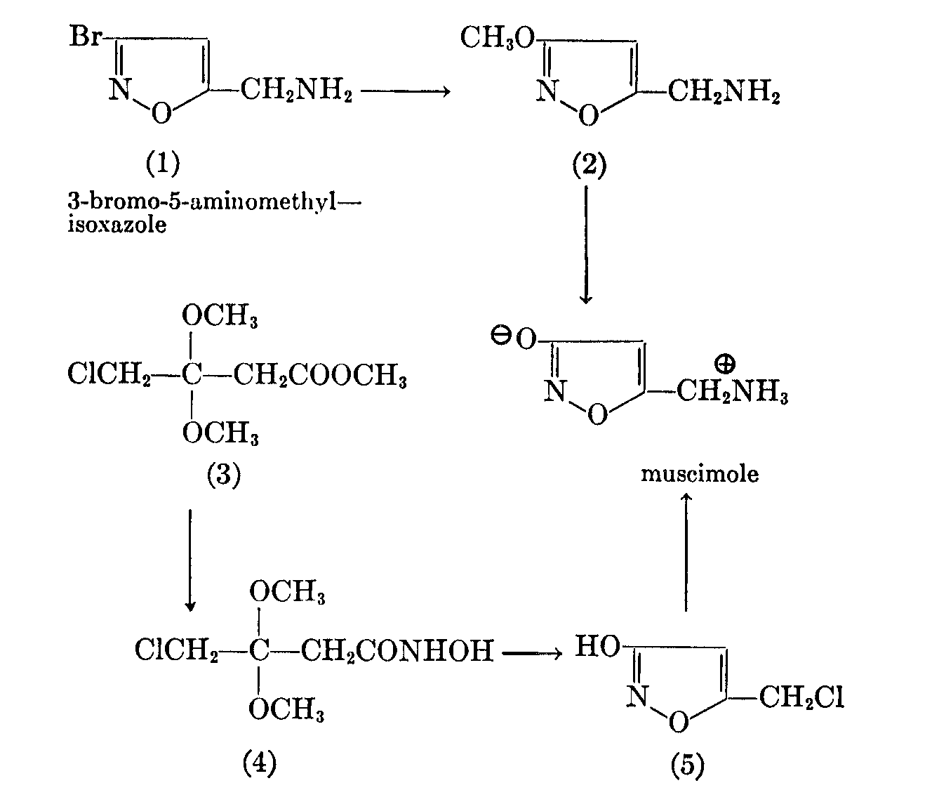 Synthese