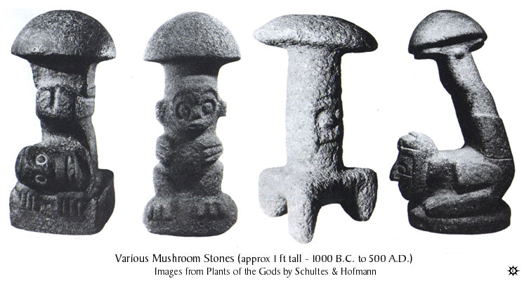 mushrooms_stone3.jpg